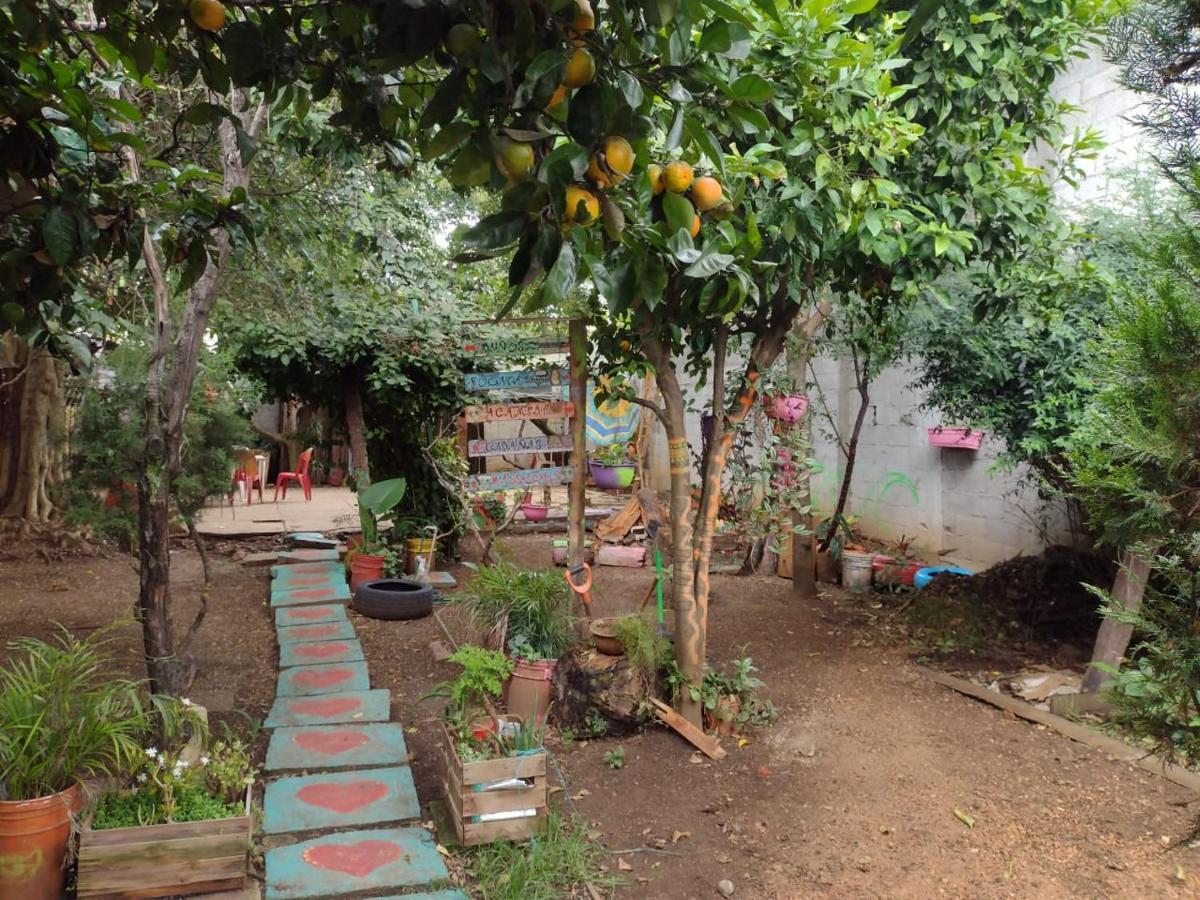 Casa Lothuz Spacio Cultural Y Disidente San Cristóbal de Las Casas Exteriér fotografie